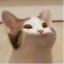 Vizi Fanni's avatar